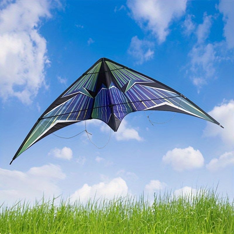 BaikB Adult Triangle Stunt Kite, Creative Double Line Kite With Flying Kite Line, Suitable For Beach Park Lawn Outdoor Sports