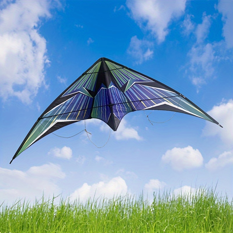 Adult Triangle Stunt Kite, Creative Double Line Kite With Flying Kite Line, Suitable For Beach Park Lawn Outdoor Sports